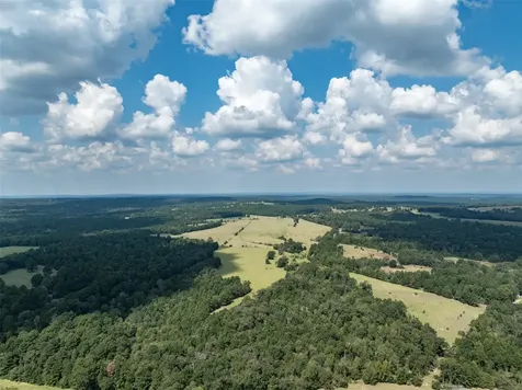Tract 2 An County Road 153 Palestine TX 75801