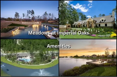 2885 Woodland Glen Lane Conroe TX 77385