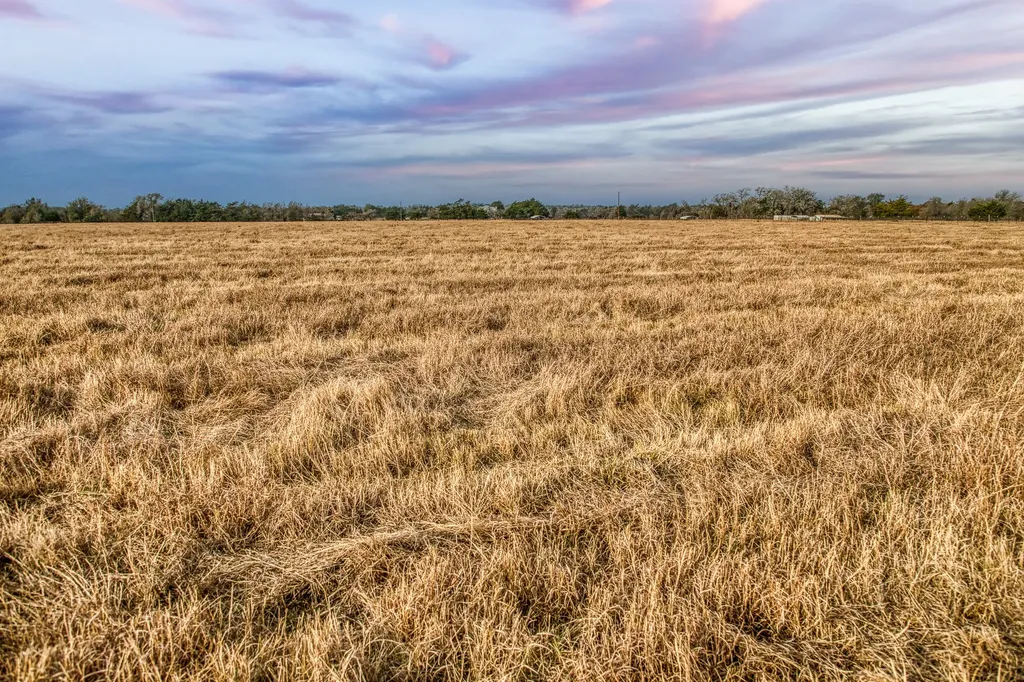 10444 County Road 318 Caldwell TX 77836