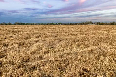 10444 County Road 318 Caldwell TX 77836