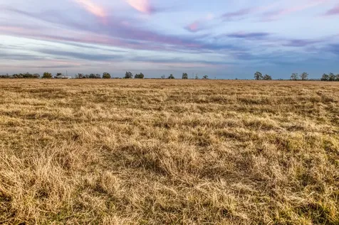 10444 County Road 318 Caldwell TX 77836