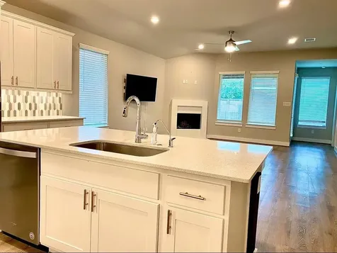 29227 Alpine Garden Drive Katy TX 77494