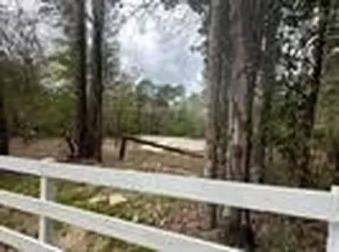 7389 Teaswood Drive Conroe TX 77304