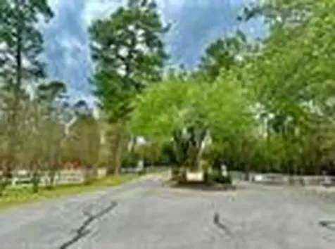 7389 Teaswood Drive Conroe TX 77304