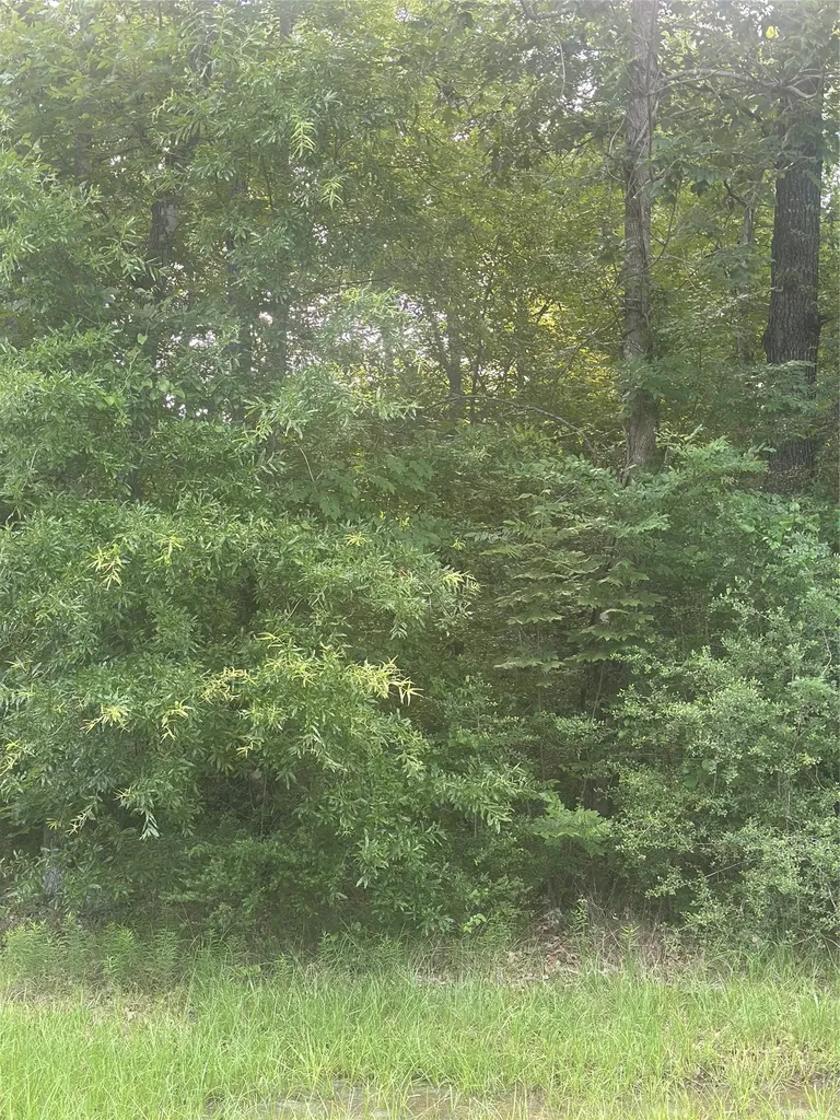 Tbd Knottypine Livingston TX 77351