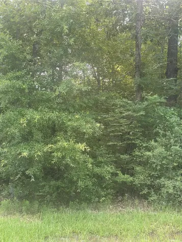Tbd Knottypine Livingston TX 77351