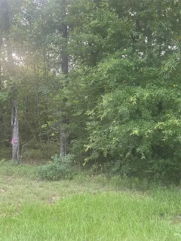 Tbd Knottypine Livingston TX 77351
