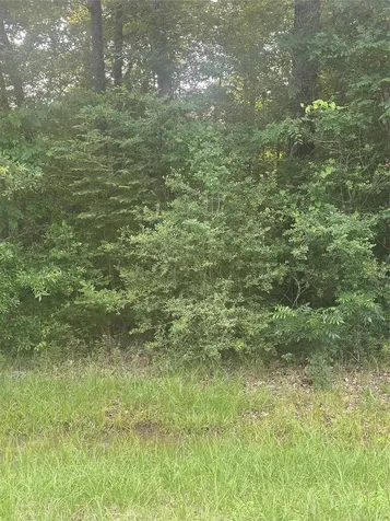 Tbd Knottypine Livingston TX 77351