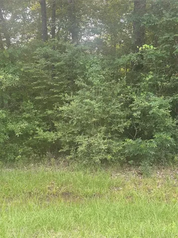 Tbd Knottypine Livingston TX 77351