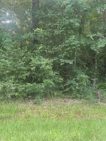 Tbd Knottypine Livingston TX 77351