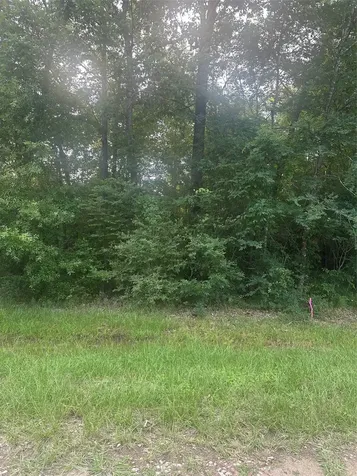Tbd Knottypine Livingston TX 77351