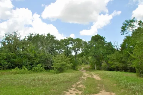 Tbd Cr 420 Waelder TX 78959