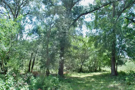 Tbd Cr 420 Waelder TX 78959