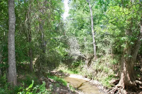 Tbd Cr 420 Waelder TX 78959