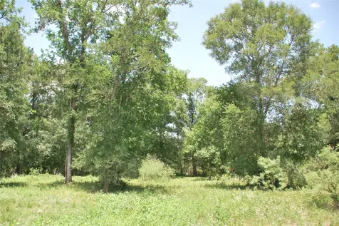 Tbd Cr 420 Waelder TX 78959