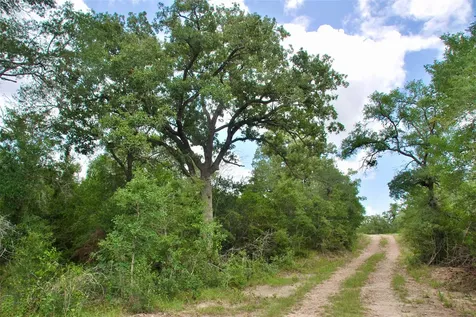 Tbd Cr 420 Waelder TX 78959