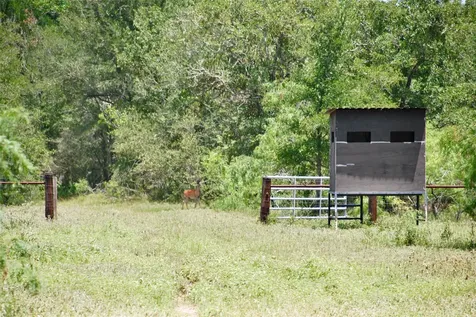 Tbd Cr 420 Waelder TX 78959