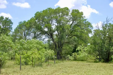 Tbd Cr 420 Waelder TX 78959