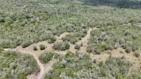 Tbd Cr 420 Waelder TX 78959