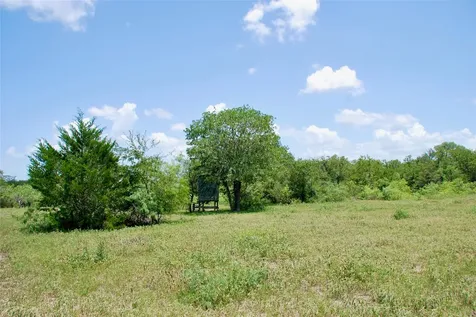 Tbd Cr 420 Waelder TX 78959
