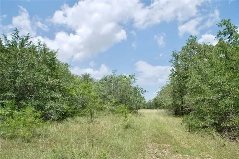 Tbd Cr 420 Waelder TX 78959