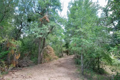 Tbd Cr 420 Waelder TX 78959