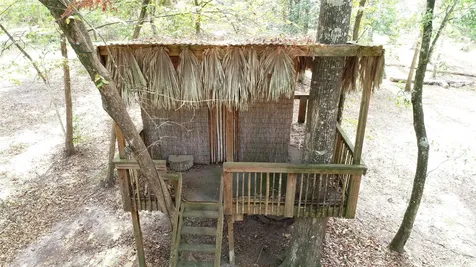 630 Hillbilly Heaven Road Livingston TX 77351