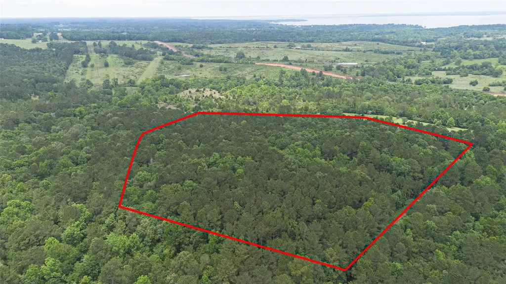 0 Rose Hill Road Coldspring TX 77331