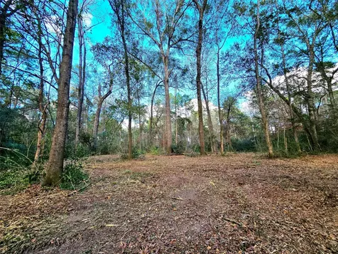 28028 Crossway Oaks Magnolia TX 77355