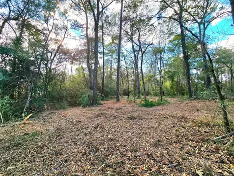 28028 Crossway Oaks Magnolia TX 77355