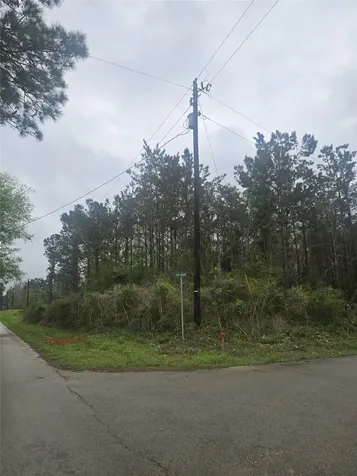 000 2nd Street Newton TX 75966