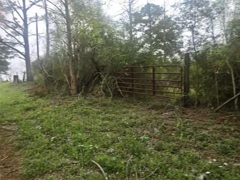 000 2nd Street Newton TX 75966