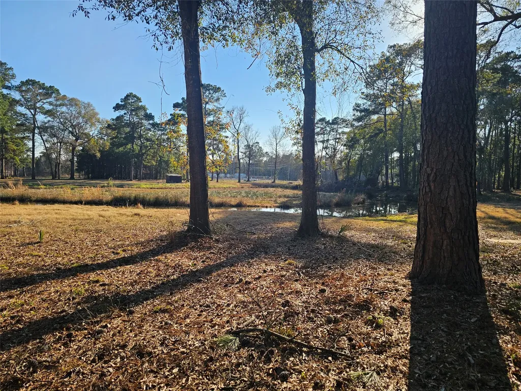 1325 Fm 223 Road Shepherd TX 77371