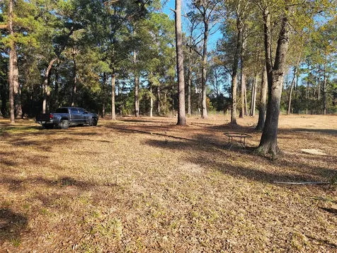 1325 Fm 223 Road Shepherd TX 77371