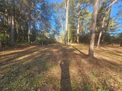 1325 Fm 223 Road Shepherd TX 77371