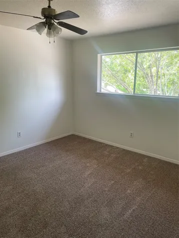 17719 Cassina Drive Spring TX 77388