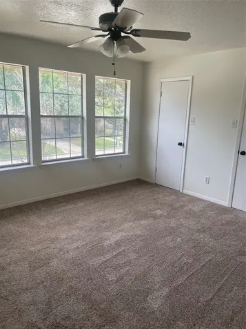 17719 Cassina Drive Spring TX 77388