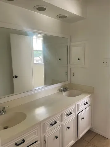 17719 Cassina Drive Spring TX 77388
