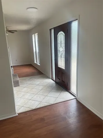 17719 Cassina Drive Spring TX 77388