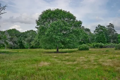 17718 Tranquil Lane Cat Spring TX 78933