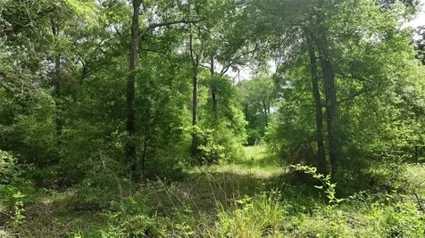 17718 Tranquil Lane Cat Spring TX 78933
