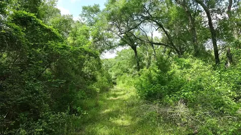 17718 Tranquil Lane Cat Spring TX 78933