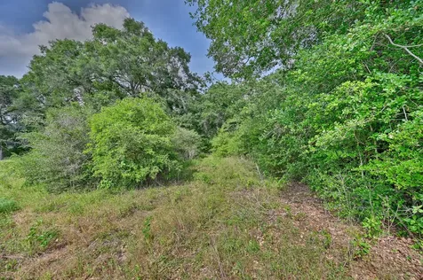 17718 Tranquil Lane Cat Spring TX 78933