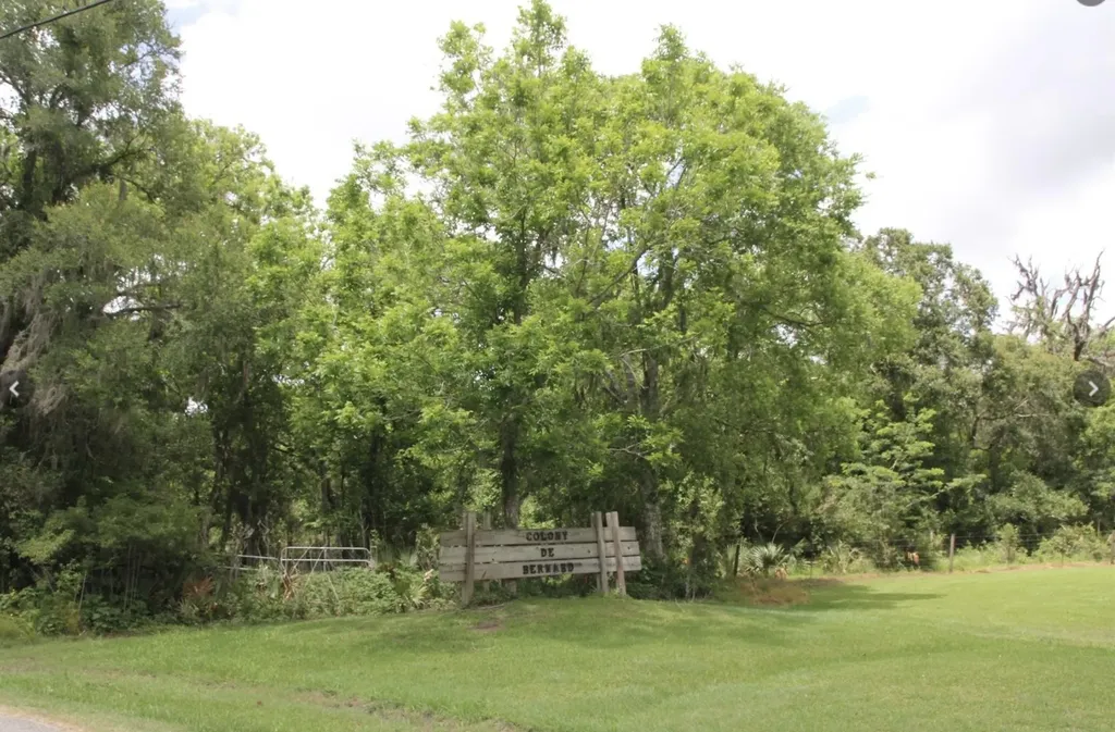 Tbd Cr-825e West Columbia TX 77486