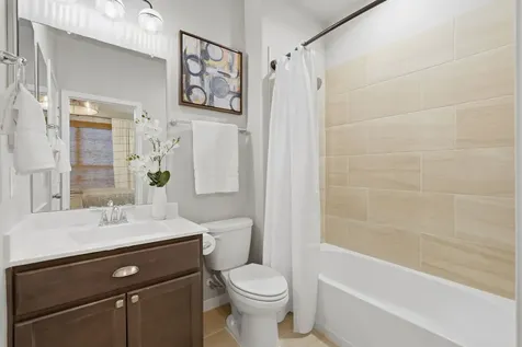 24219 Birchwood Creek Court Spring TX 77389