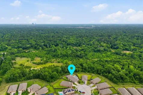 24219 Birchwood Creek Court Spring TX 77389