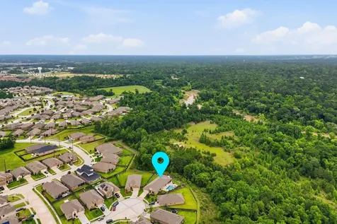 24219 Birchwood Creek Court Spring TX 77389