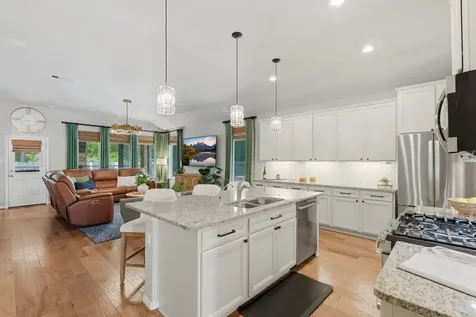 24219 Birchwood Creek Court Spring TX 77389
