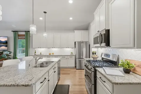 24219 Birchwood Creek Court Spring TX 77389