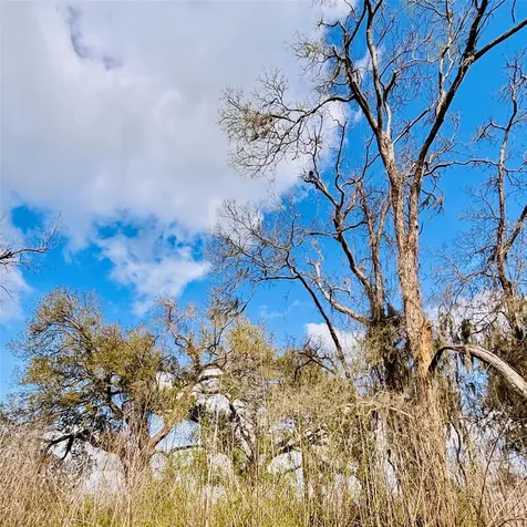 Lot 22 Igloo Lane Holiday Lakes TX 77515